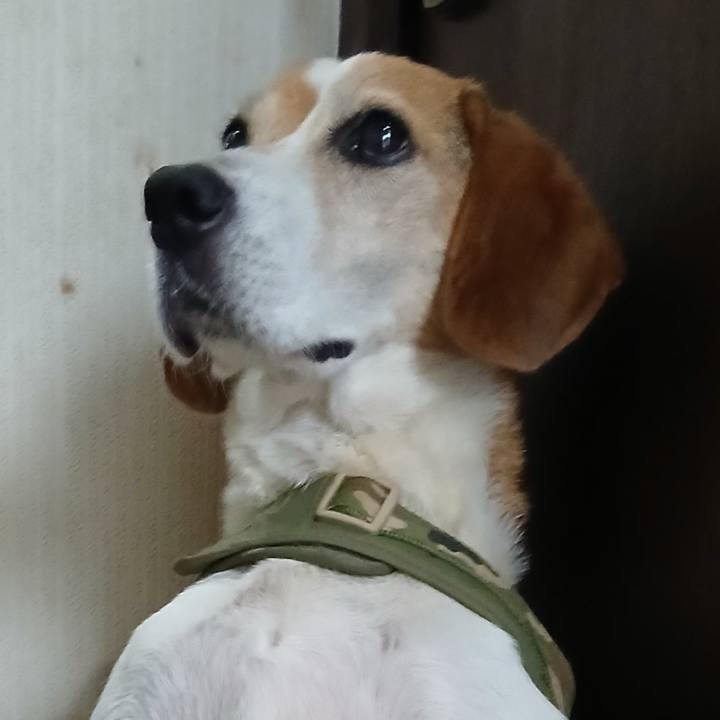 B916ea08 3e36 4e91 841e 7af6eb40cb62 1752753627027