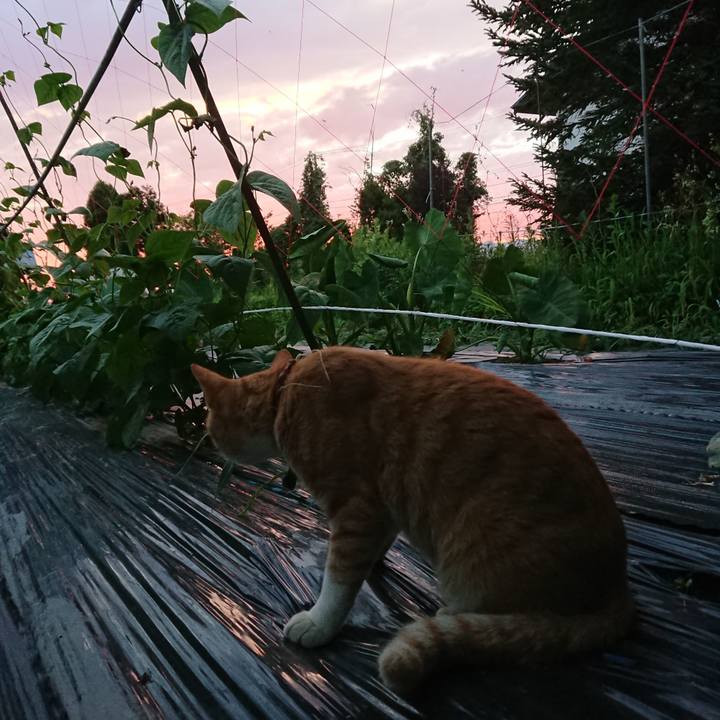 B916ebea 3172 4385 ac4f 93f0c6bb3f38 1564222539335