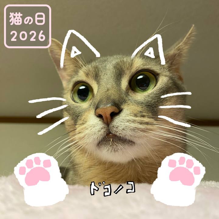 B91719b8 5e8d 4073 a7e2 1fc38753080f 1771754824677