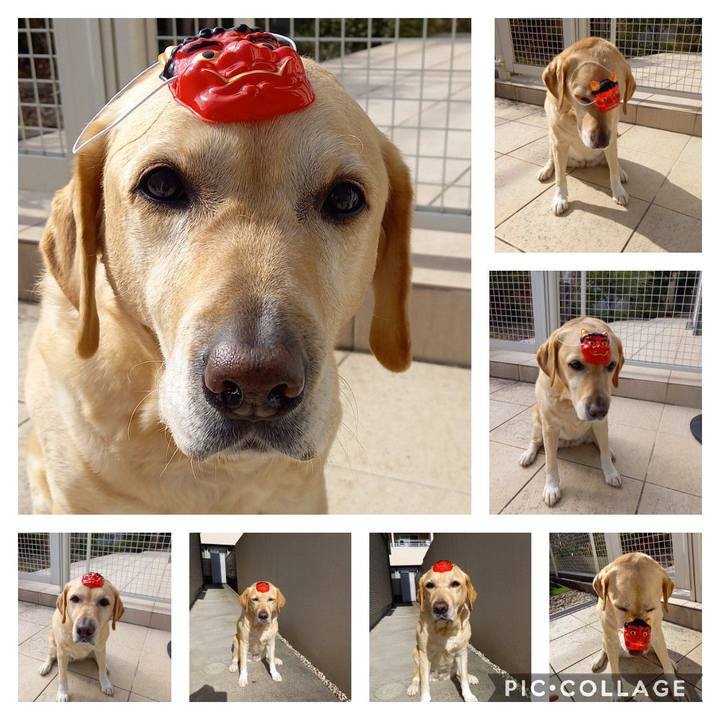 B9173e0f 36ba 4c27 bd0b 5f2b064171bc 1612243669494