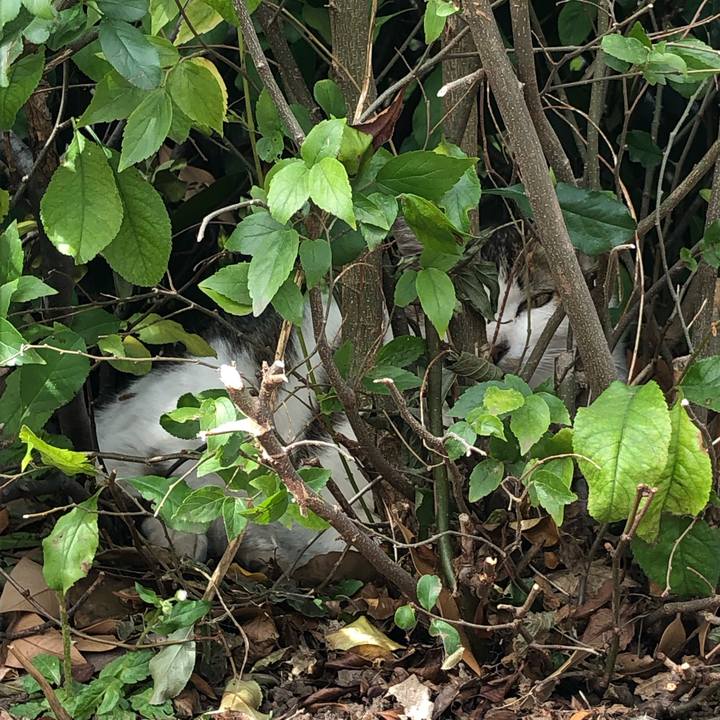 B9177611 e363 45f4 a825 87f977d753d7 1560604034393