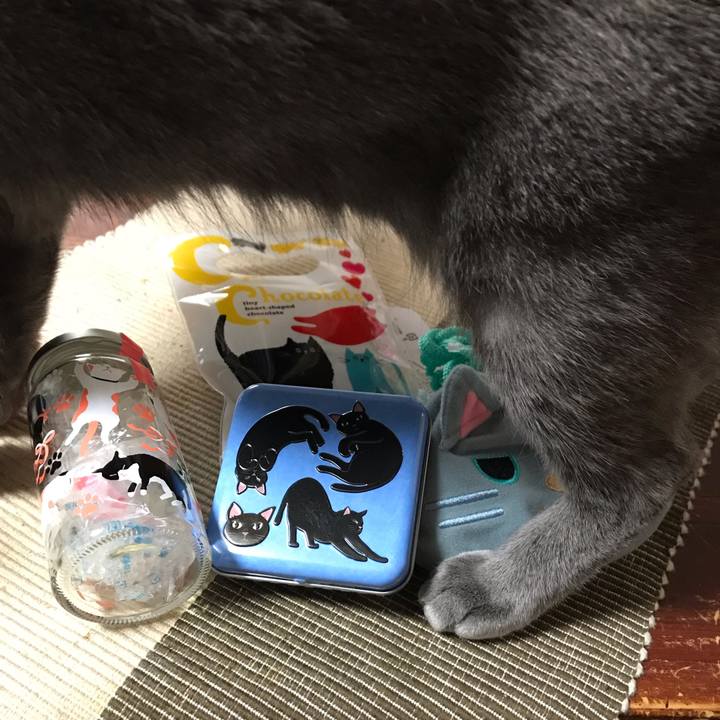 B9179651 e166 424a 9856 ff9aebf5a228 1550306140550