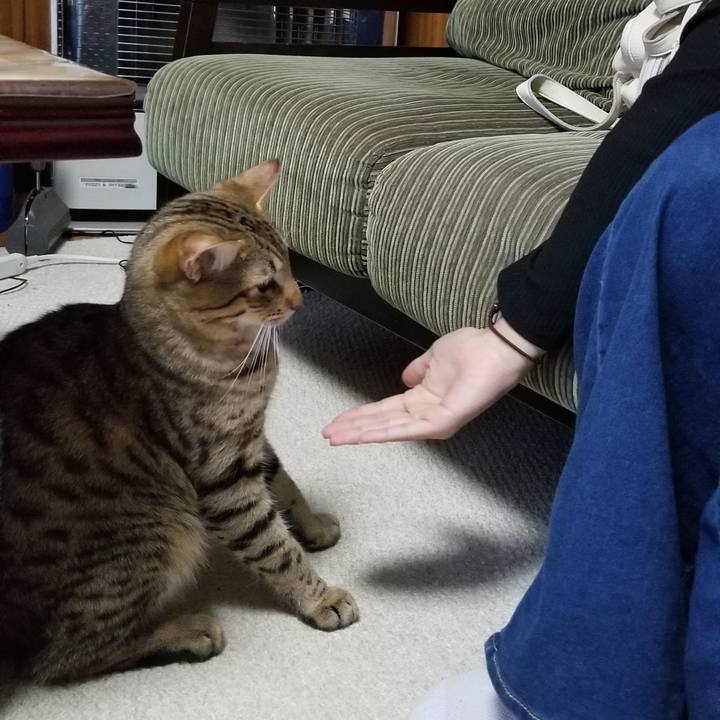 B917a577 0f86 48ff 831b 34462f563713 1571729309408