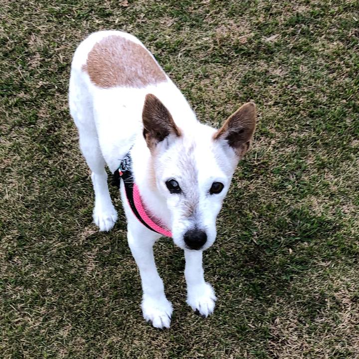 B917b25e b5db 4cd0 9343 89659e6823ad 1617700477794