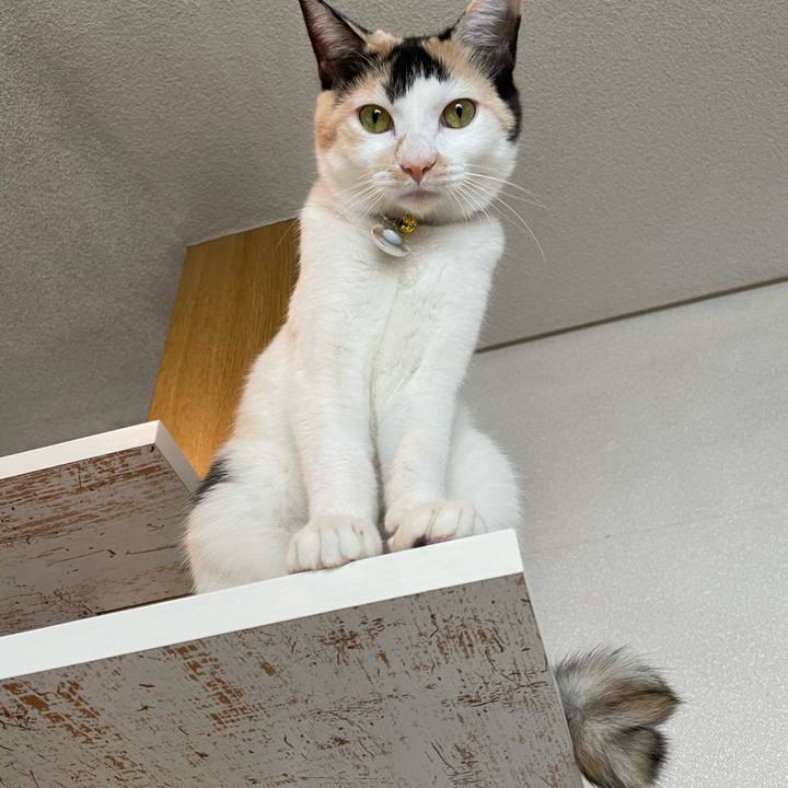 B917c832 e508 497e a0ca 5394e6d66646 1675382833959