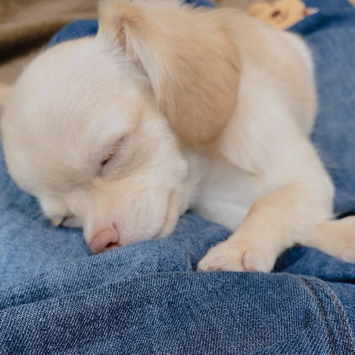 B917dfeb 1e89 41a2 b444 f50be516e376 1593127861885