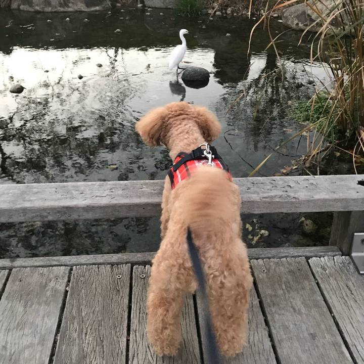 B9182149 0311 4430 8f70 e33c3ab77b66 1543481567517