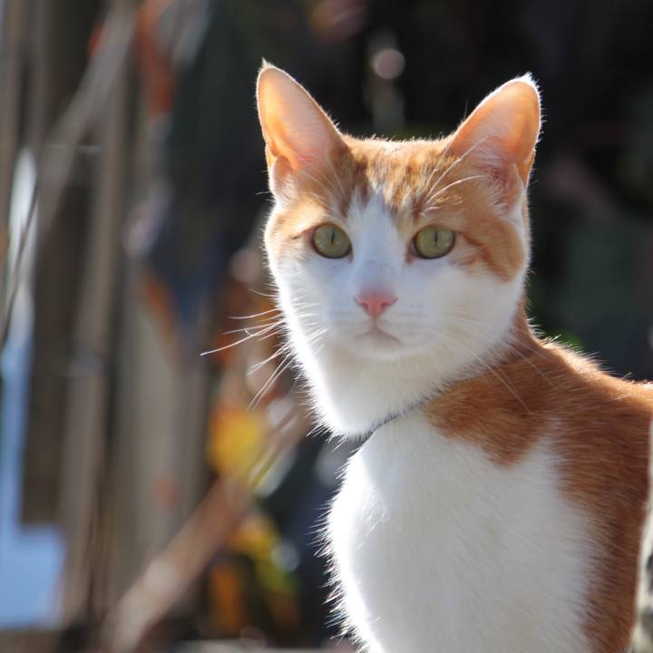 B9182237 d226 4e45 acf3 b196b9684e77 1517374217302