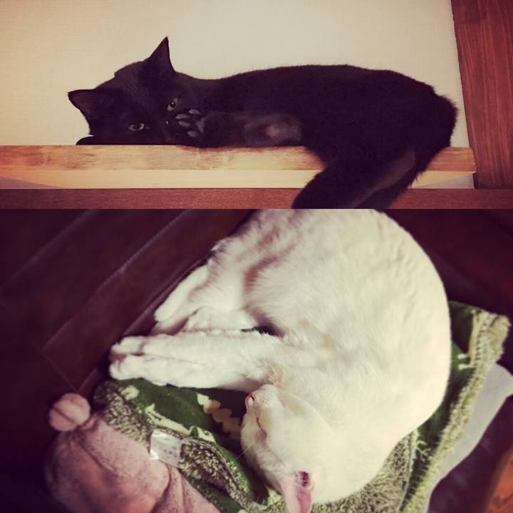 B9182782 2f32 4d6a 80a9 37e00909a15b 1514724209819