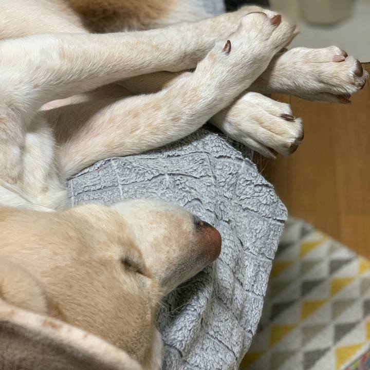 B91828a3 cf2e 48f5 acfb 9535dcdf4762 1577543388279