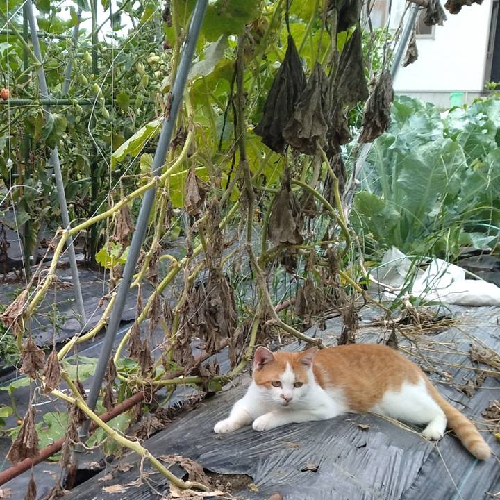 B9182c28 8bae 4c58 8cf5 62cb530abced 1757492263197