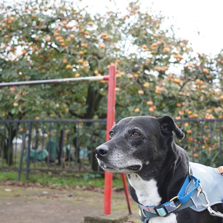 B918575e 5fca 446e b9c9 1e19b5c15abb 1761525888194