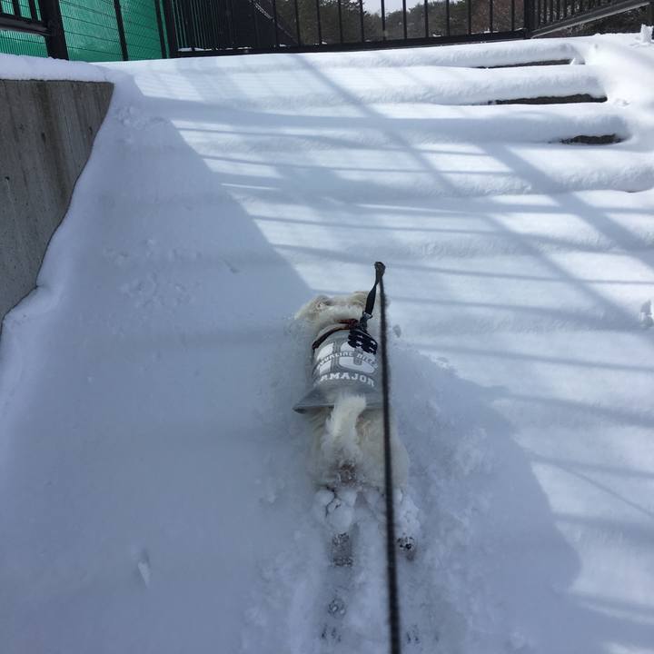 B9185762 e8c0 4eef a7b3 e7377cb02c7c 1518978584478