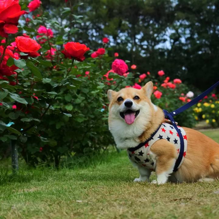 B918a9f6 9a70 4392 b34f ef4ebfe62ccd 1622295289594