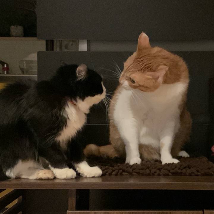 B919299d 4d2a 445c 8975 445d4efd7818 1740441608343