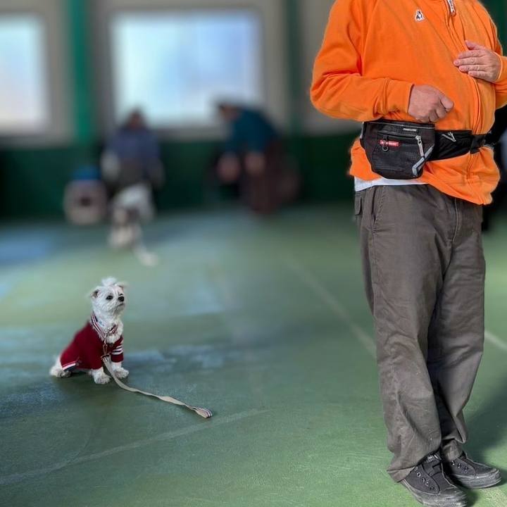 B9195e09 4203 4482 885f 3c9eff2e9ba9 1734324681736