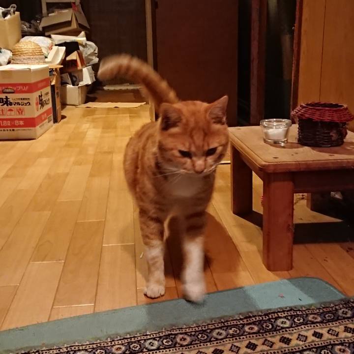 B91984f3 fbc5 4134 84be e36939a1510d 1576746458983