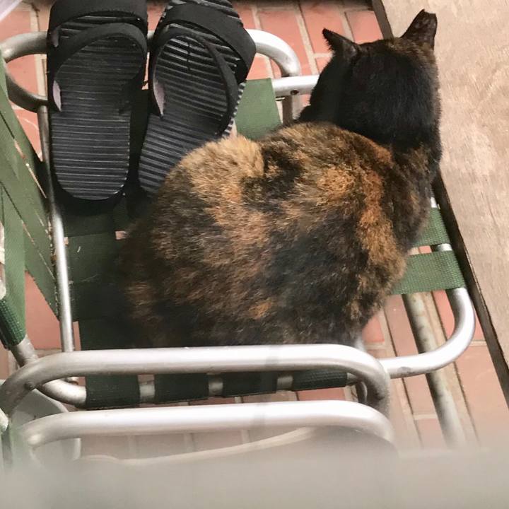 B919bbc1 3c38 4413 be9c 94c4c8ee57b6 1570589853921