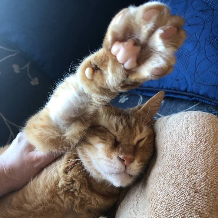 B919c5a0 43d0 4b45 aa6c c7fd98f0a4c1 1596264477100