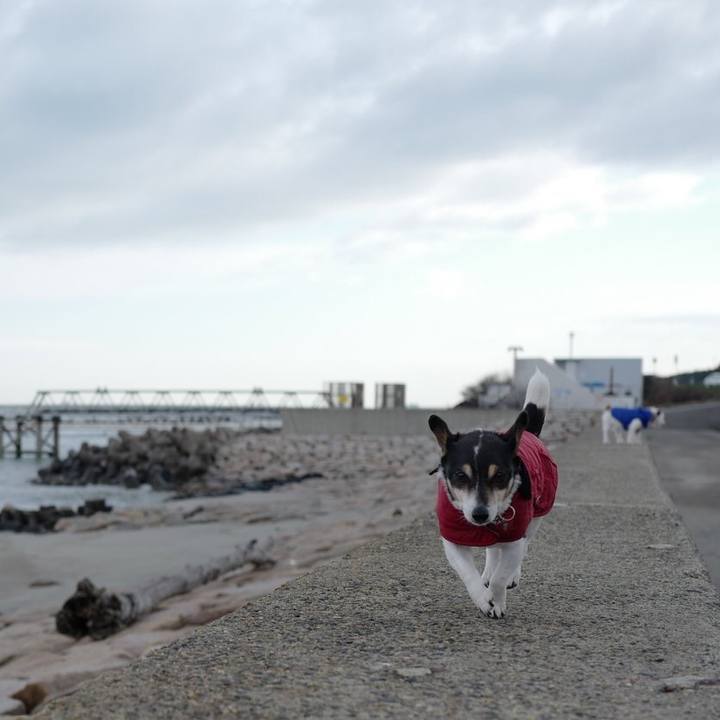 B919c801 1f0f 4dfc 89a2 343014d94f26 1552621169601