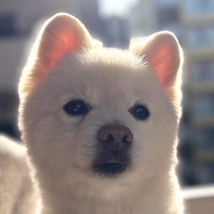 B919cf0e 764a 445b ba05 9bd5f2d58ae4 1773205496785