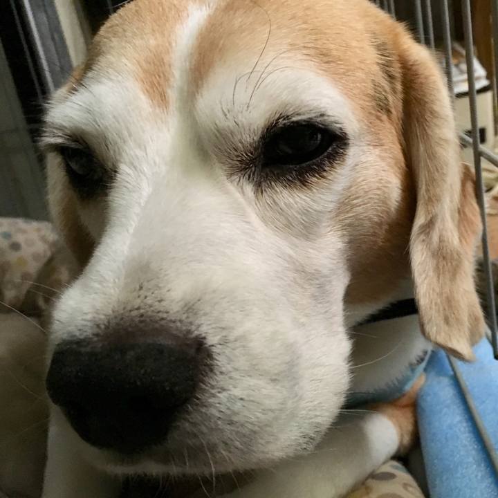 B919dbf1 3150 4fb9 b99c 56538526f512 1536277846597