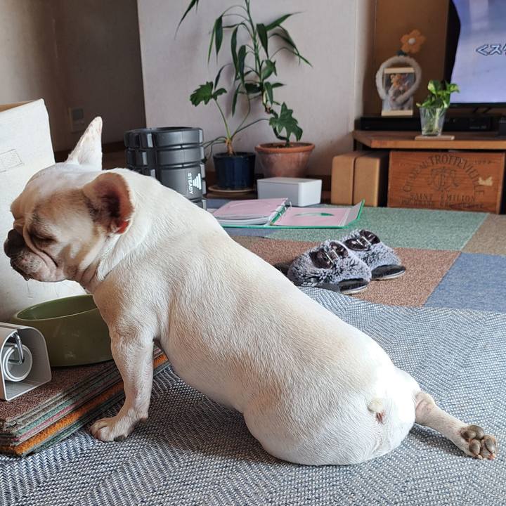 B91a05b1 56c6 4823 bfd3 4de53bf343ab 1698149597288