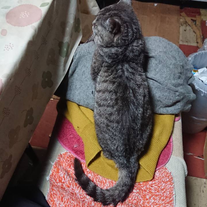 B91a5063 5e27 477c 8e8f b6fa91a5a1df 1571884117523