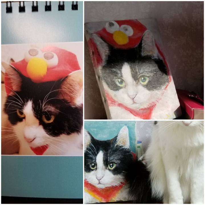 B91a62a6 63b4 444c 9b38 05511b1c5ce3 1584748303037