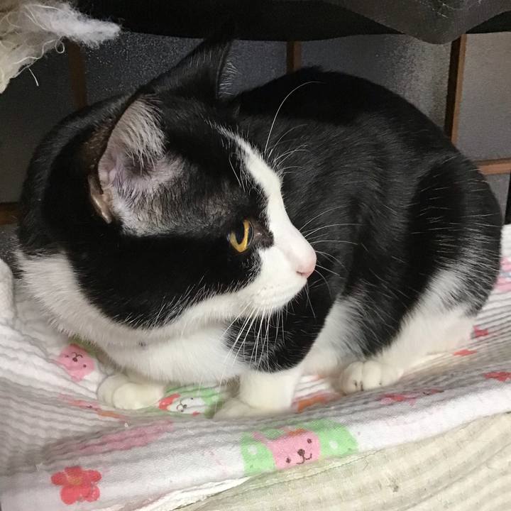 B91a818c 33cc 4557 a73c 74a5f537cfe3 1640300145994