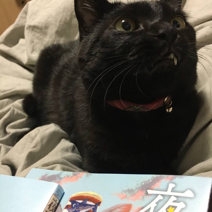 B91a8a9c f324 40d1 83e4 3816191c192b 1511359743595