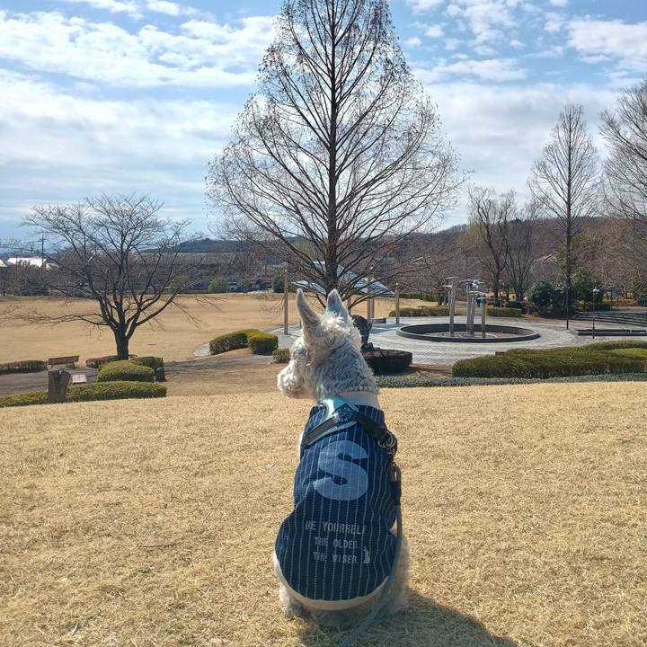 B91aa451 01bf 4365 a7cd f3750240f0a2 1773661328643