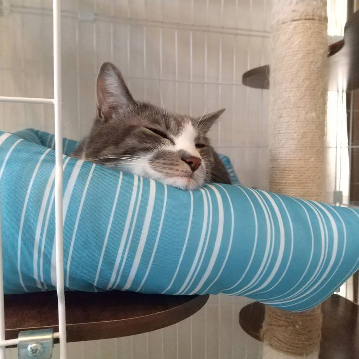 B91ab73c b8a1 4493 9614 7b3741a90694 1614841161506