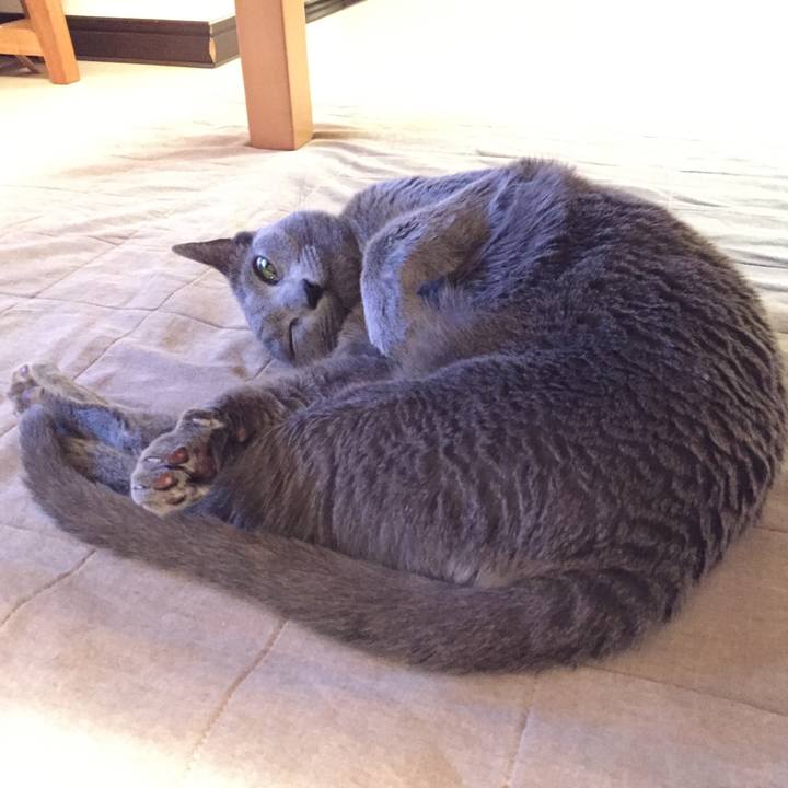 B91ab7db 9346 445d be4b 5edf9fd531e2 1511161962253