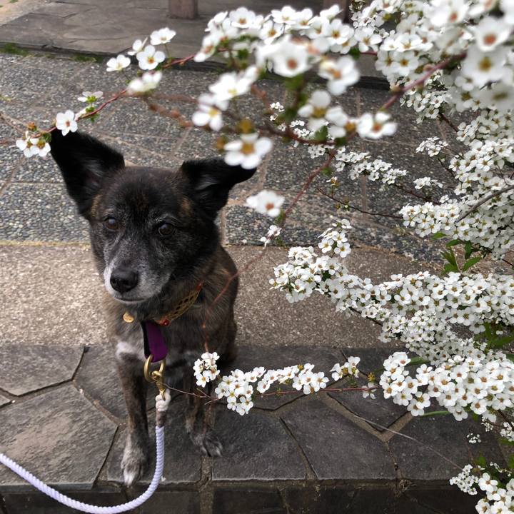 B91acb45 554e 4bd2 9b7e 9fed49ed3c22 1615727408993