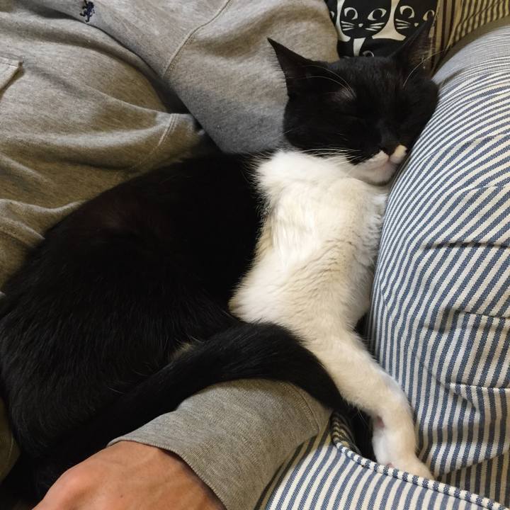 B91ad70b 8730 40db 8fe5 2fc9de581a7b 1540294900200