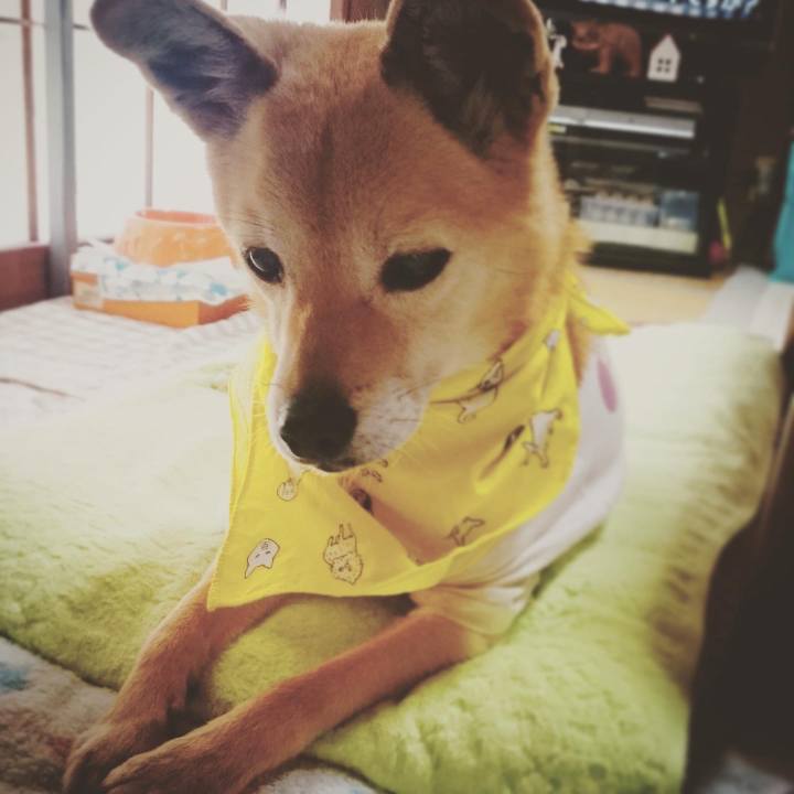 B91af1a1 92c6 478c b10f 55862f600dad 1599060007326