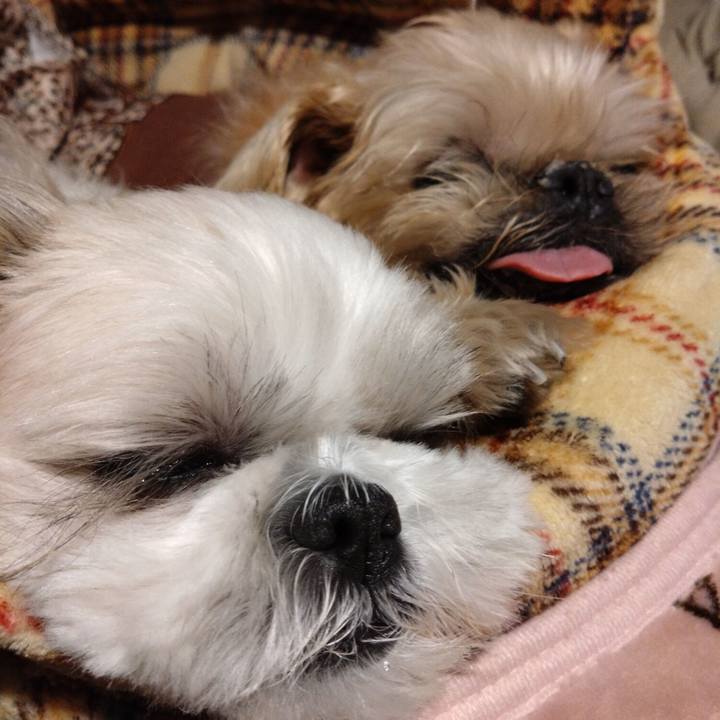 B91b2088 008b 4d6c 94bf 32cbef36f44b 1735567554603