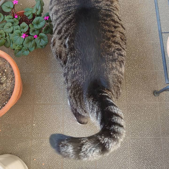 B91b503d 19ae 438f 95c1 99388301e2fa 1614044248011