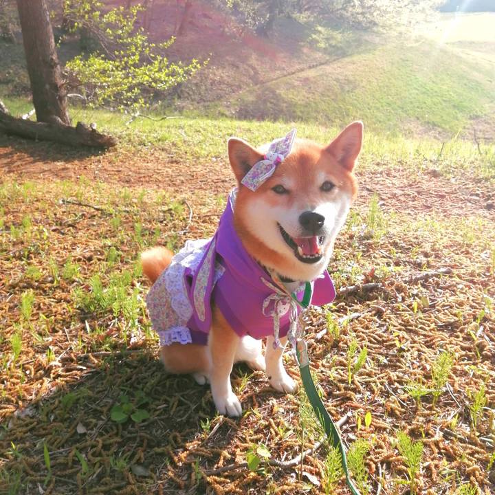 B91b6524 0d8f 498b ba99 52e00981db61 1680335578294