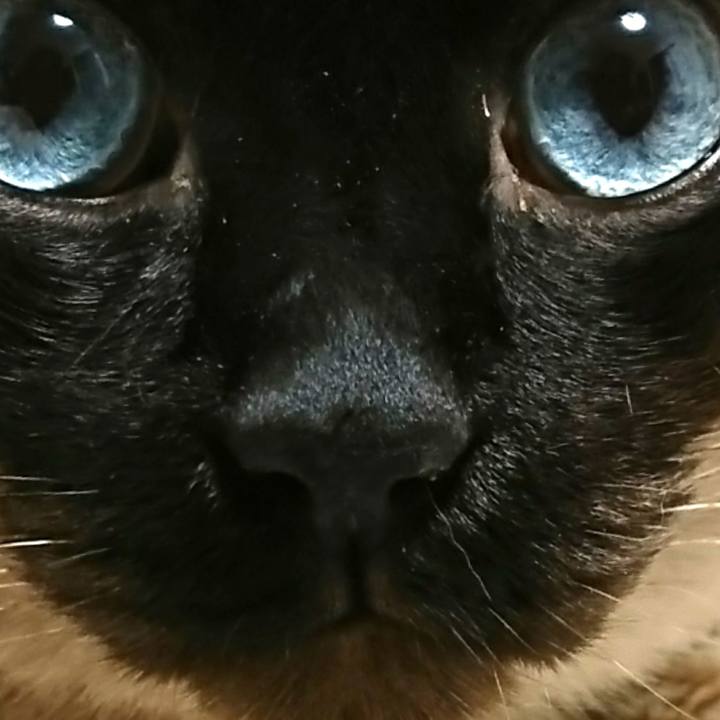 B91b7b2e dc4d 49e1 8f65 f80258386397 1523442998947