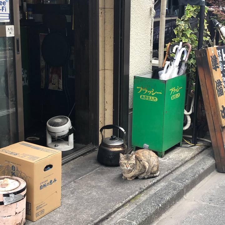 B91b8a5c 4a12 47f9 9bf1 54144f118e85 1555679914376