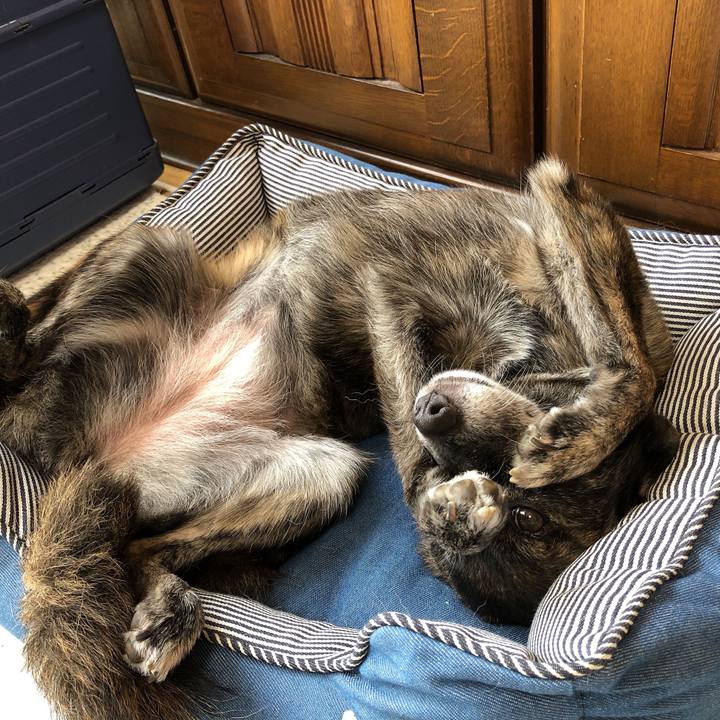 B91bba2d a82e 4da2 9bb7 3fd90a195ca8 1601244134938