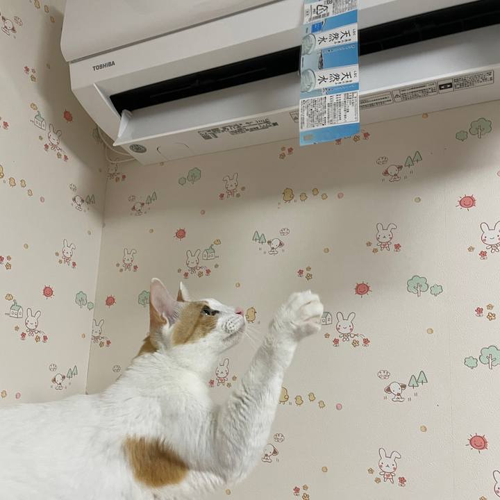 B91bc066 d345 4977 8710 de6bfcbf72ac 1645945526577