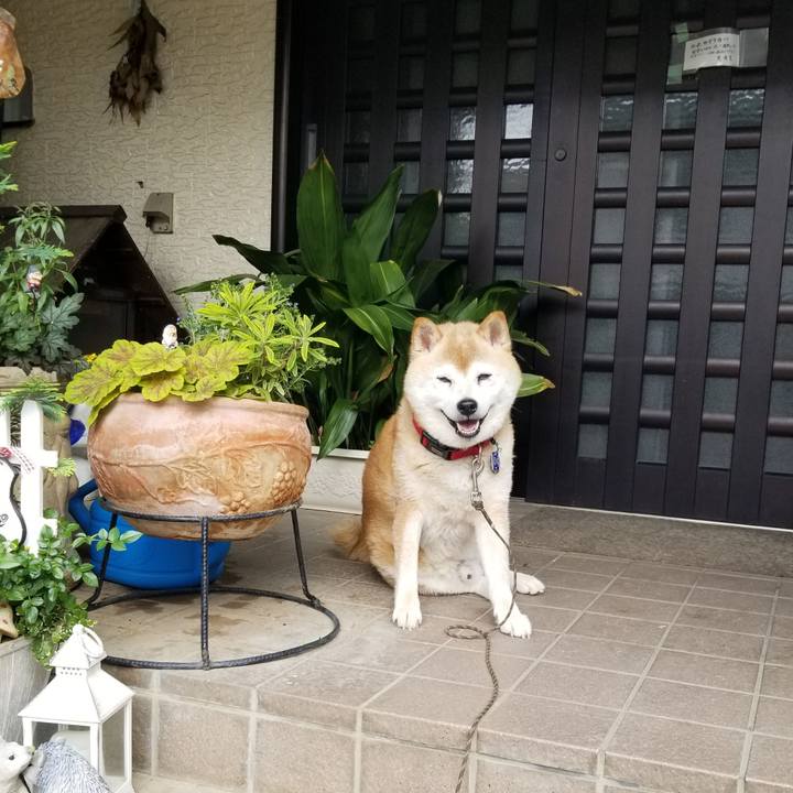 B91c5f5e ed94 4c7c 8577 77bcbb0045e8 1719728083050