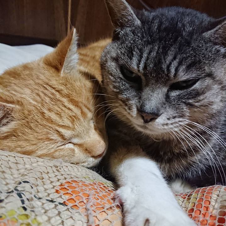 B91c9923 1ad6 42c2 b137 447f5a5d2a62 1584533816146