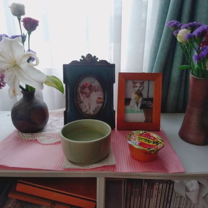 B91c99cf 3e66 4e43 92e8 0394e9e690e8 1629001401532