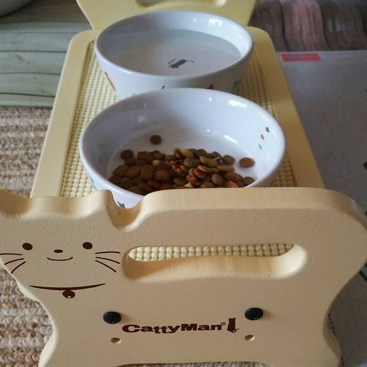 B91cb997 4fc2 43ea a877 3a432313ab45 1560913392764