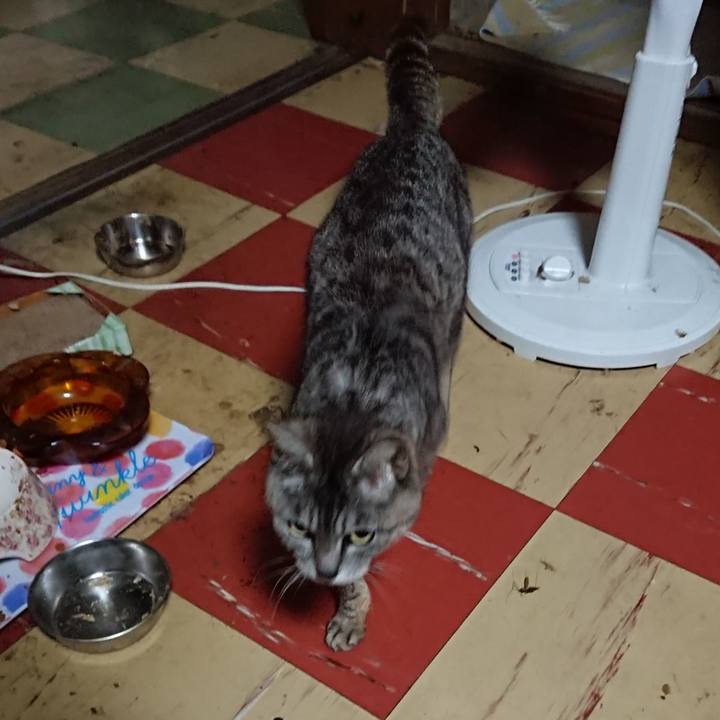 B91cb9f8 5357 46de 92db 8665a5877bb1 1561667203825