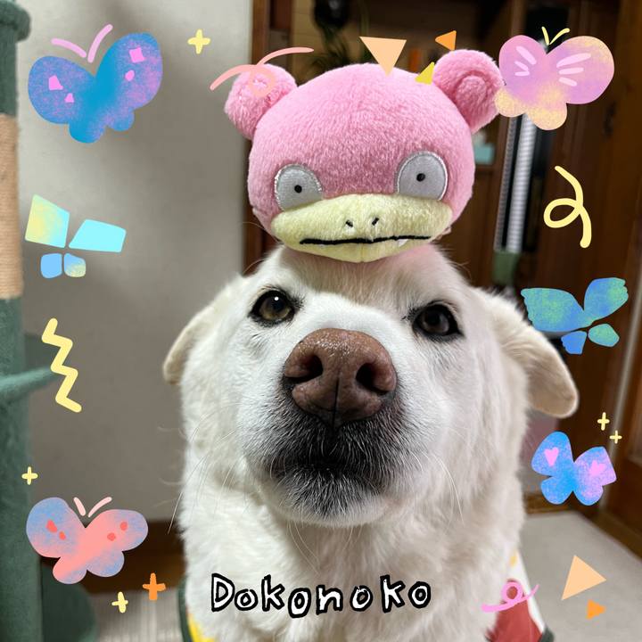 B91cd2f5 d46e 4da3 831b 490eafb15e33 1711063995887